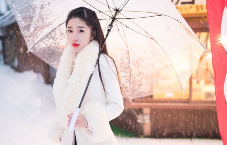 图1